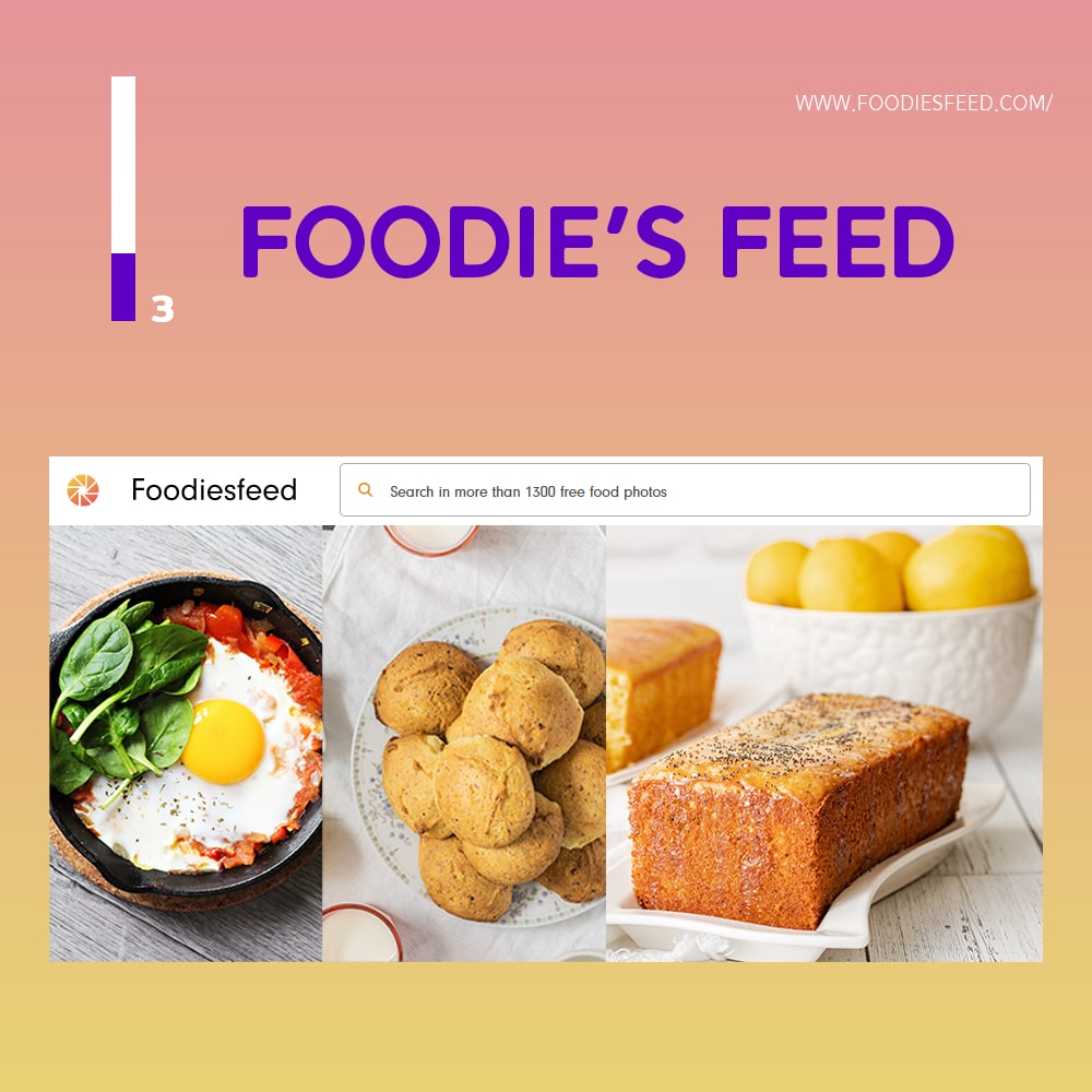 Foodie’s Feed 